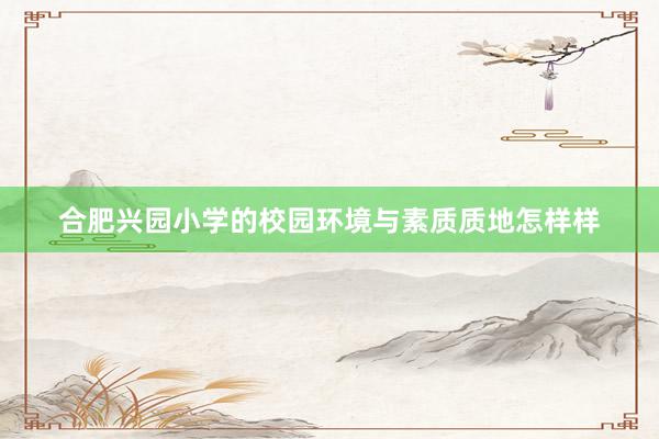 合肥兴园小学的校园环境与素质质地怎样样