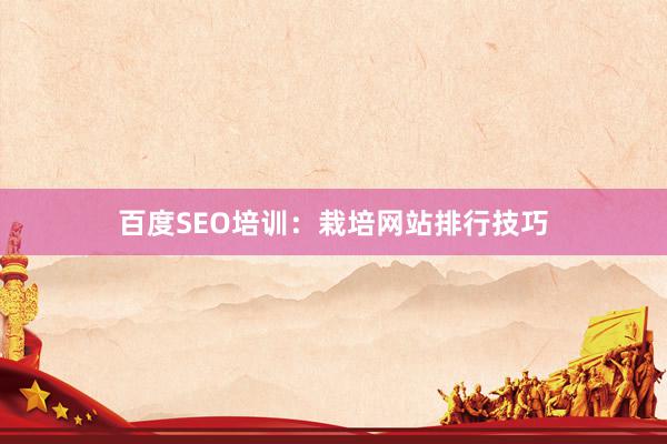 百度SEO培训：栽培网站排行技巧